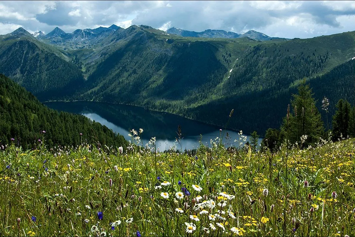Жасырын камера мас орыс аққұбасын блять