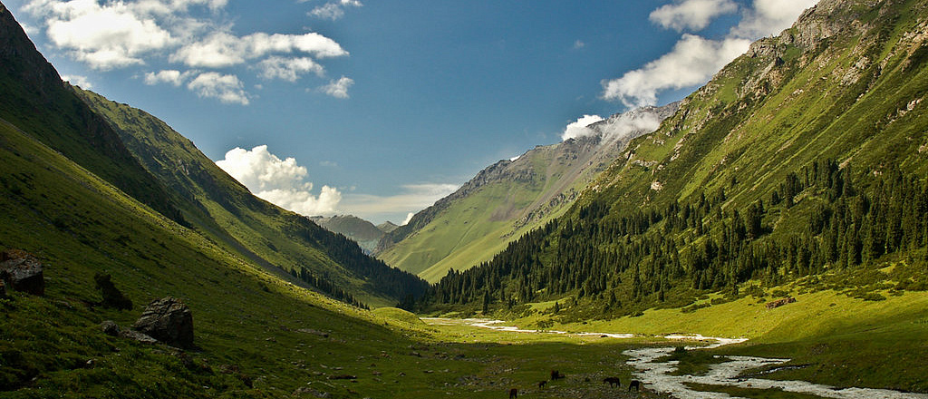 v-kyrgyzstane-v-prirodnom-parke-ala-archa-nachali-stroit-kanatnuyu-dorogu