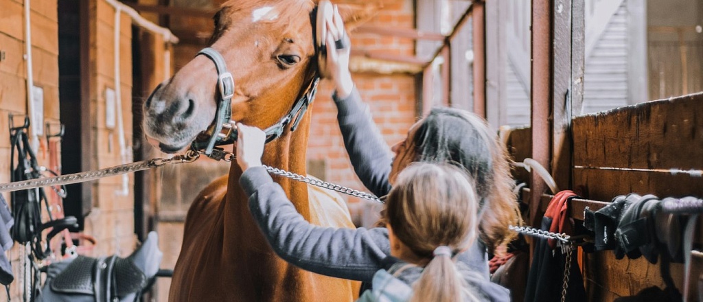 where-to-go-horseback-riding-in-uzbekistan-10-best-equestrian-clubs
