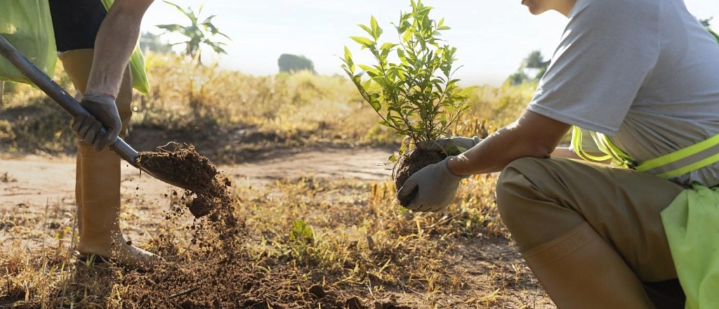 major-companies-in-uzbekistan-involved-in-key-eco-projects