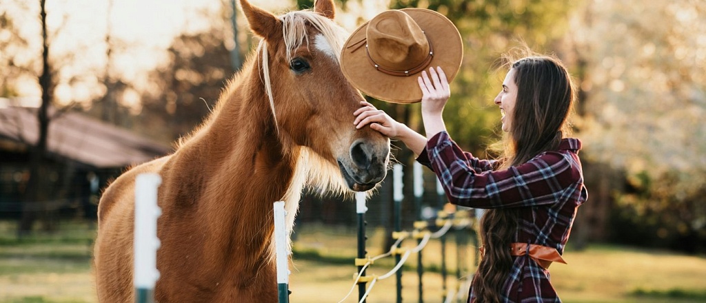 Top 5 horseback riding clubs and hippodromes in Shymkent