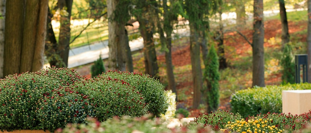 spring-in-dushanbe-where-to-go-and-what-to-do-in-april