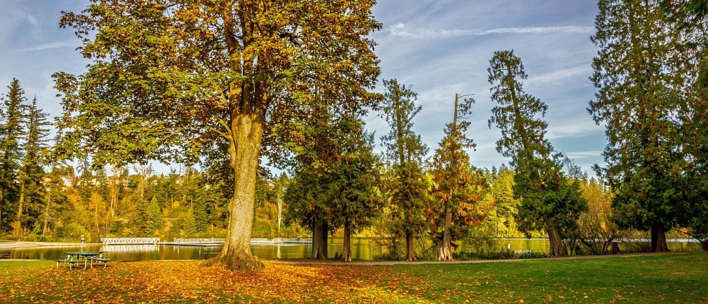 dushanbe-s-parks-the-coolest-spots-for-a-walk-a-picnic-or-a-sunset