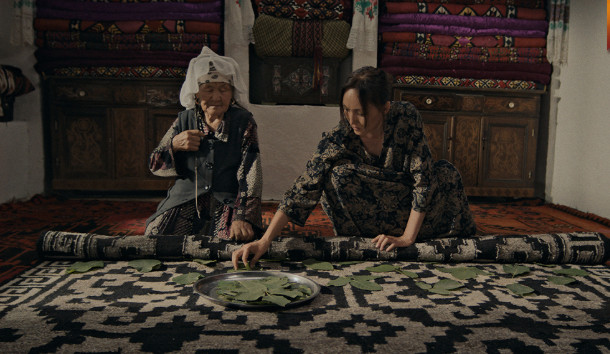 fil-m-kara-kyzyl-sary-zayavlen-na-premiyu-oskar