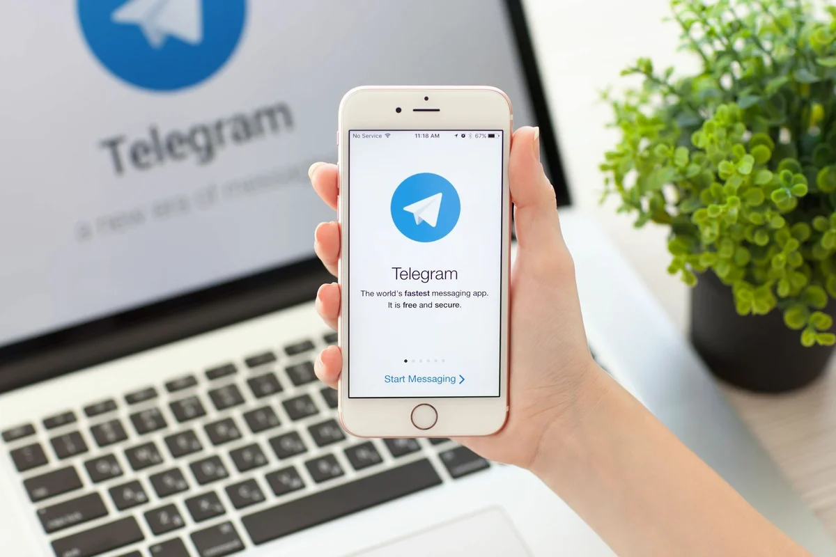 В мессенджере Telegram появился узбекский язык - статьи, истории,  публикации | WEproject