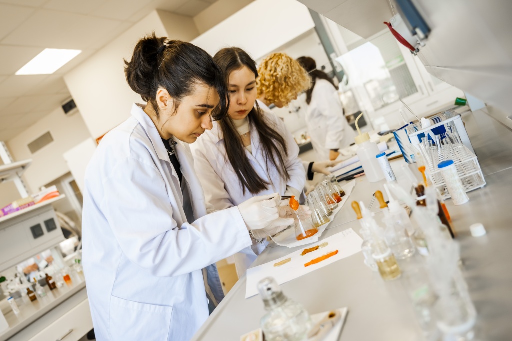 Vytautas Magnus University 