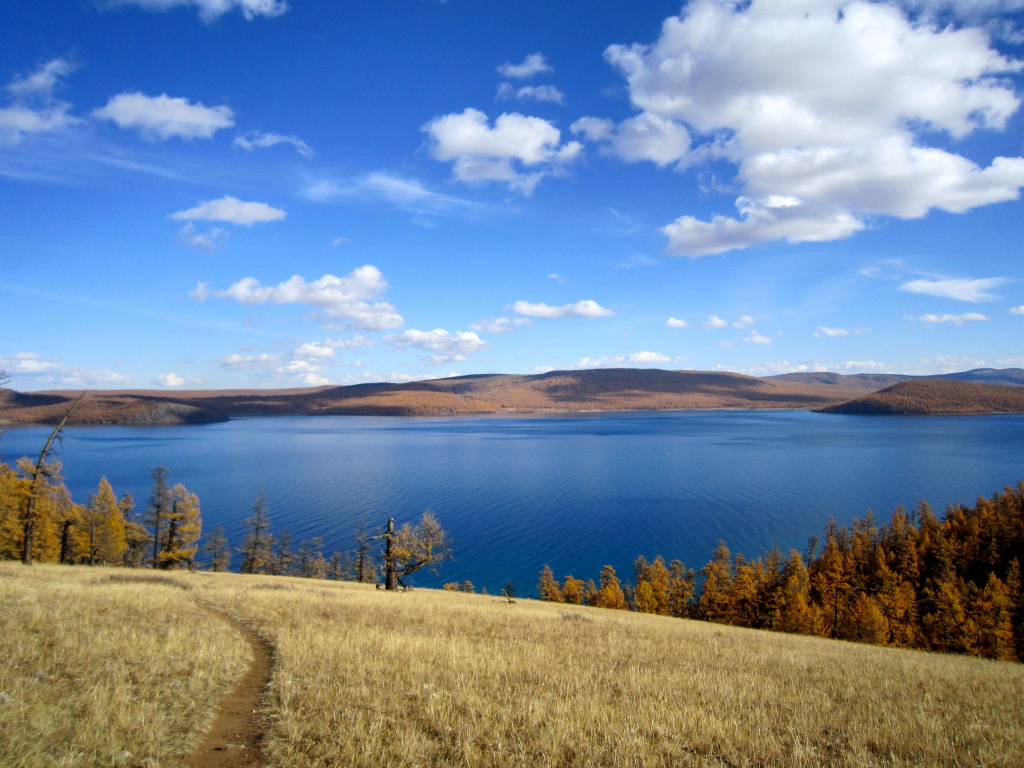 Autumn in Mongolia.jpg