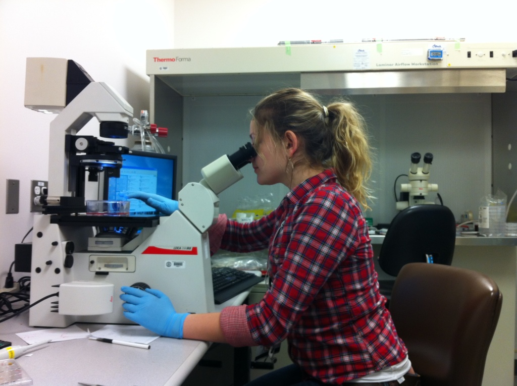 Юлия Сафарова