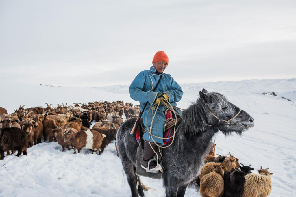 Winter in Mongolia.jpg