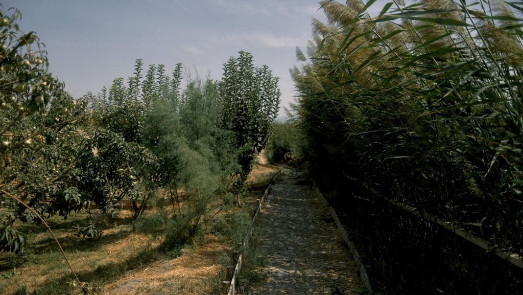 kosafarm