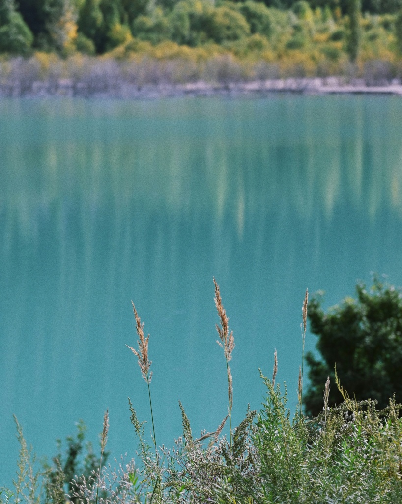 Что нужно знать об отдыхе на озере Балхаш