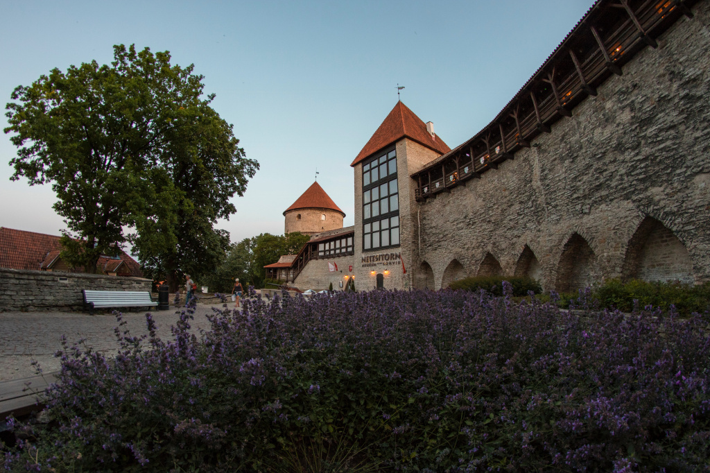 What are the similarities and differences of Baltic countries: Latvia, Lithuania and Estonia