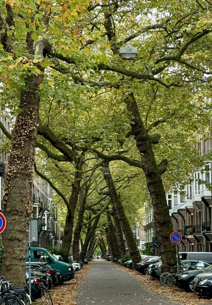 Amsterdam