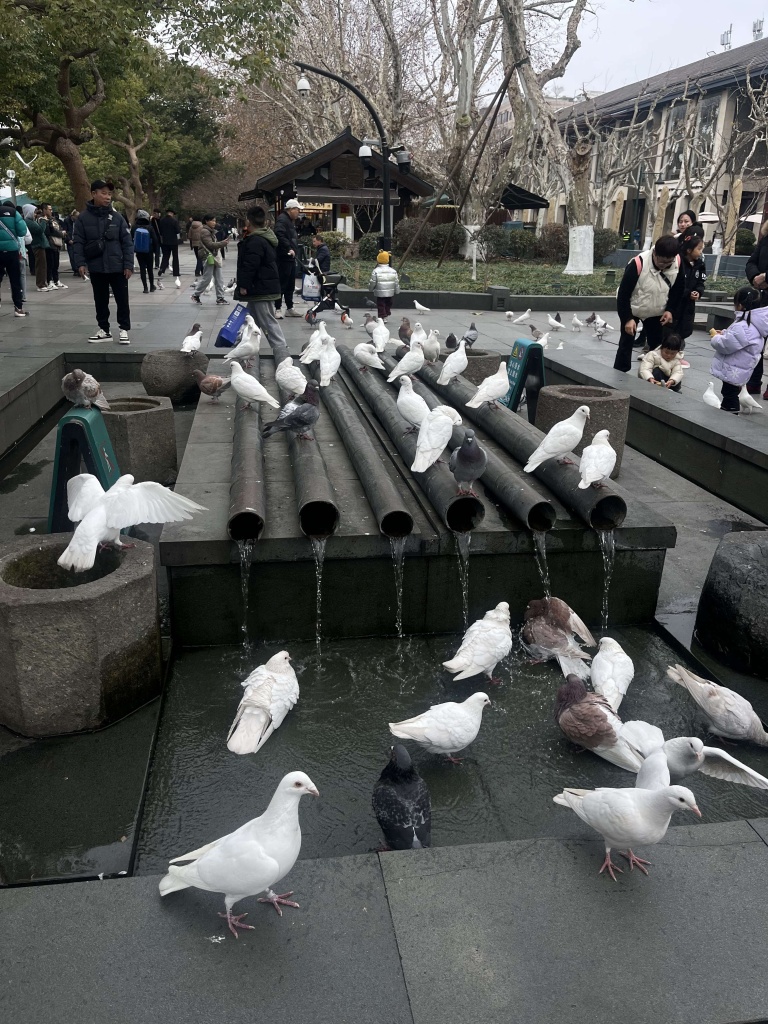 озеро Ханчжоу