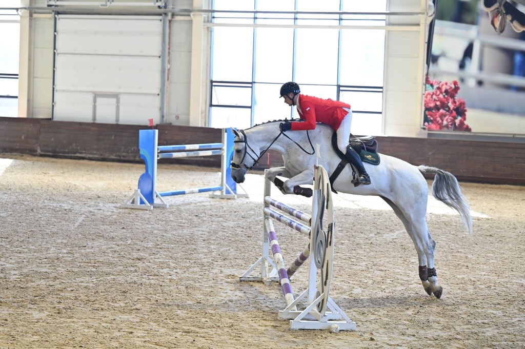 horse Чемпионат по конкуру