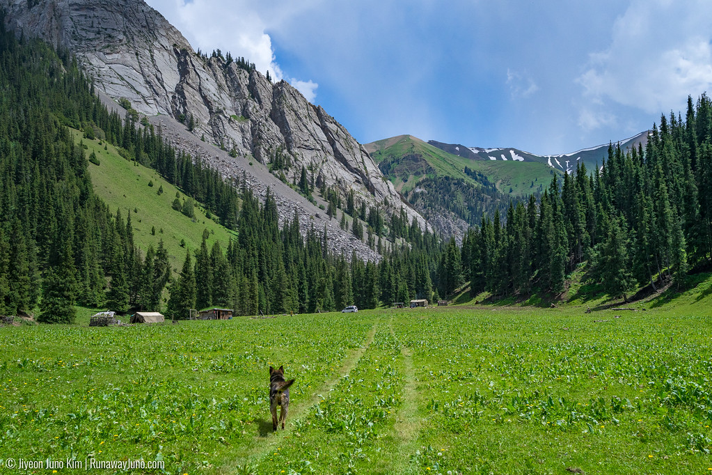 Алтай айыл фото