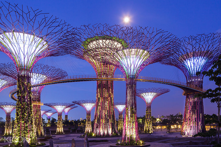 Gardens by the Bay.jpg