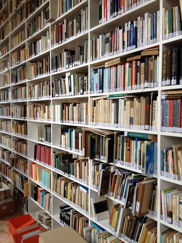 book-shelf-library-books-read-education-bookshelf-bookcase-study.jpg