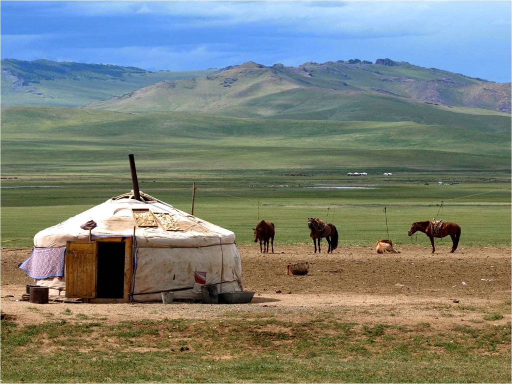 Spring in Mongolia.jpg