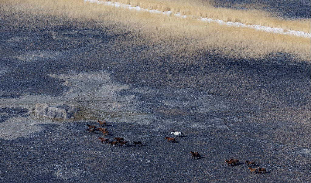 aralultra.png aralultra.png