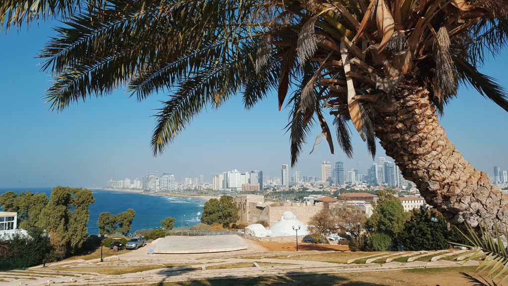 Курорты Мертвого моря: отели, цены и особенности отдыха в Израиле
