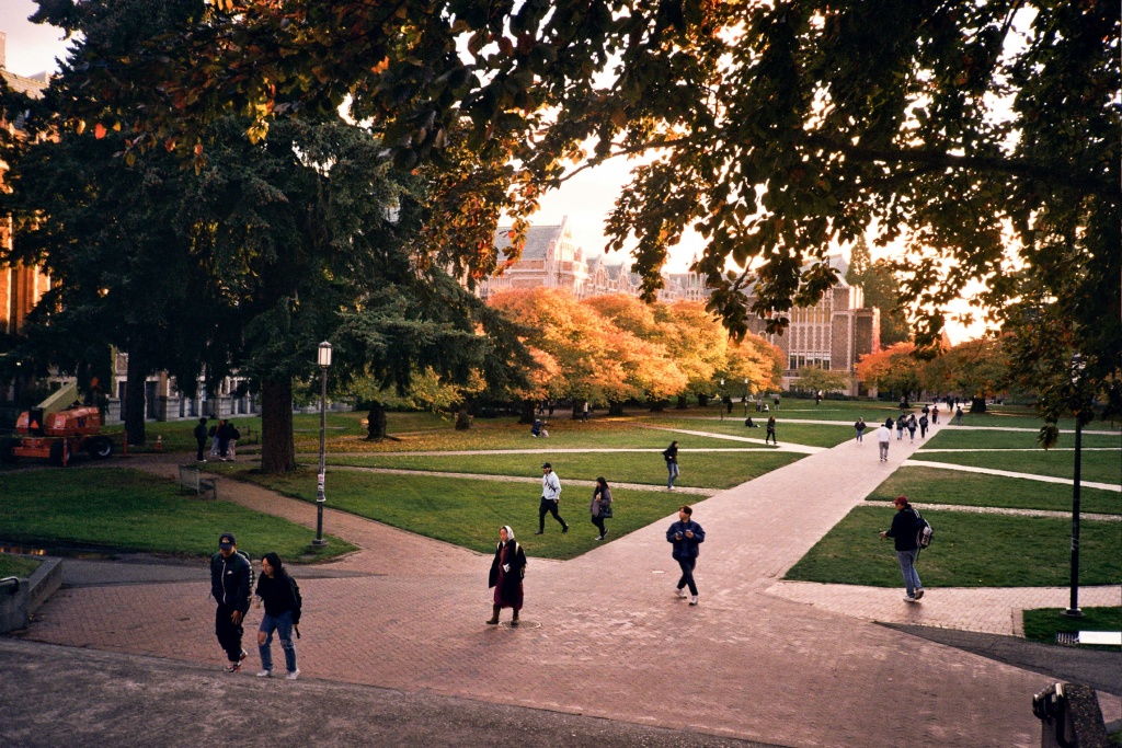 michigan стипендии в Michigan State University