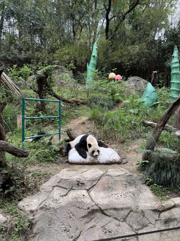 сафари парк