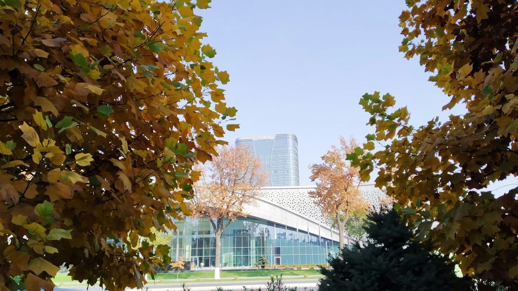 Review of apartment market in Tashkent