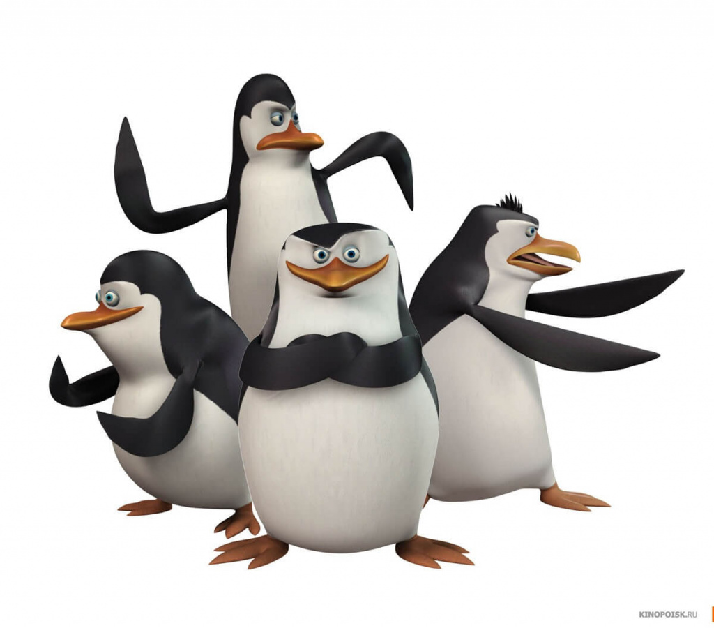 pingviny.jpg
