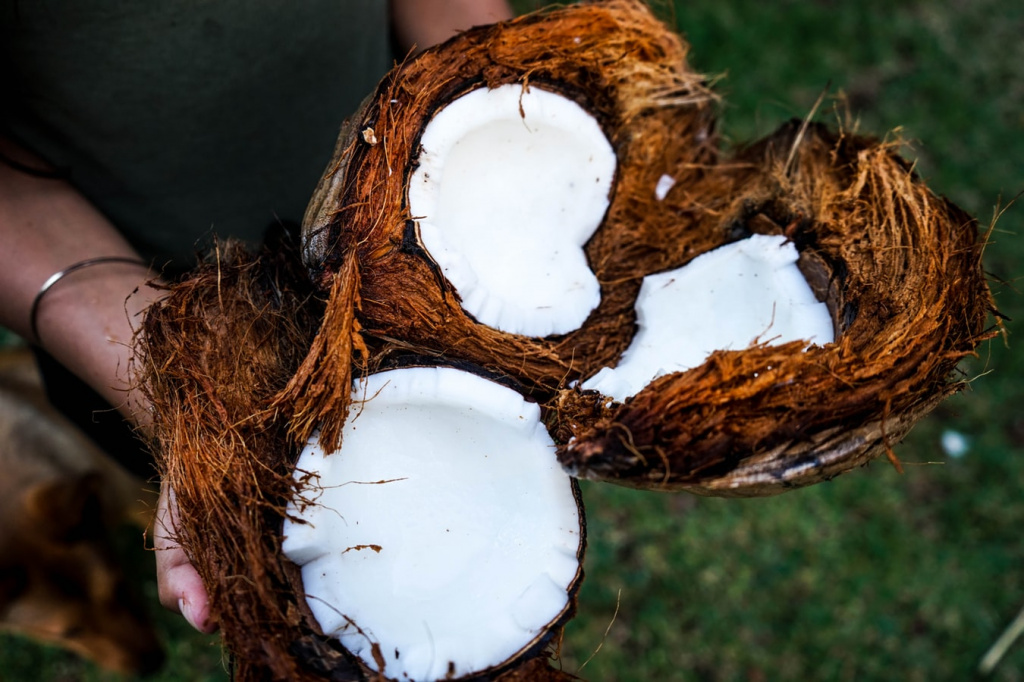 Что привезти из Вьетнама: экзотические фрукты, орех макадамия и сухое кокосовое молоко