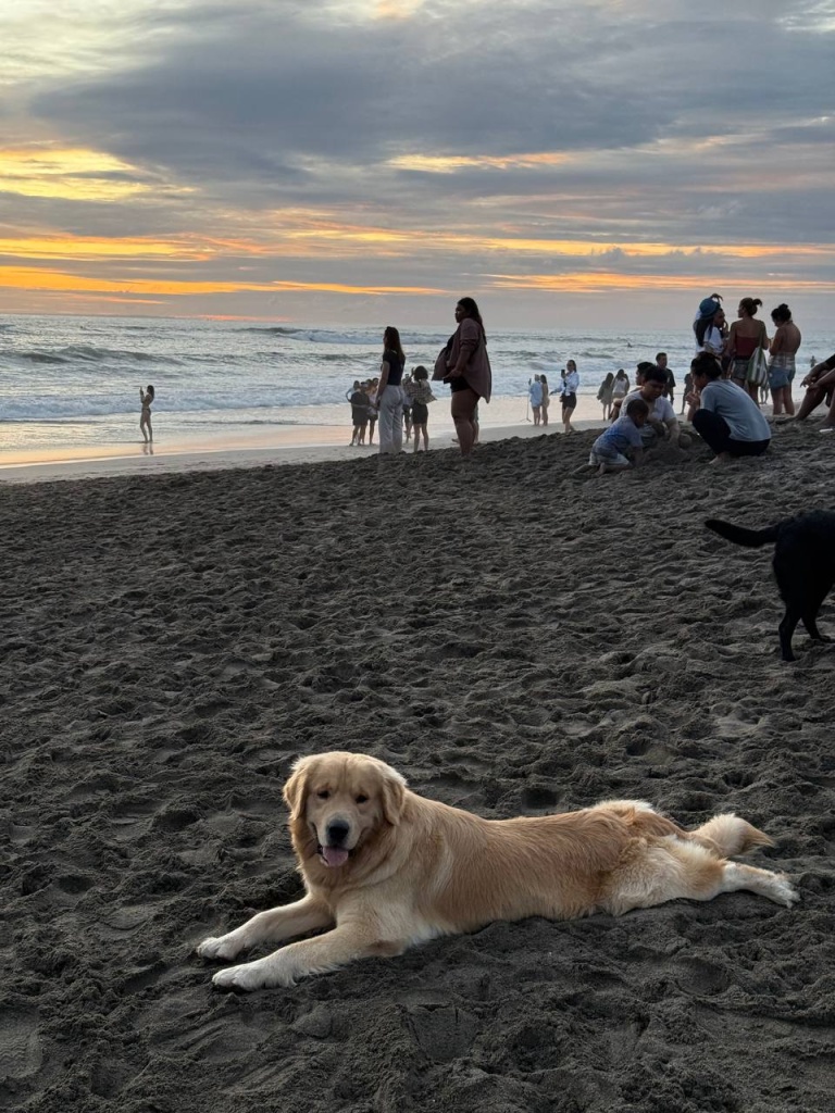 Зимовка на Бали