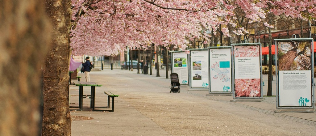 nauryz-in-kazakhstan-traditions-rituals-festive-food-and-entertainment