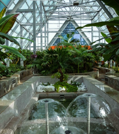 Профиль: 25 см жыныс мүшесі