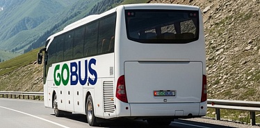 В Ош и Талас из Бишкека можно уехать на GoBus: цены и расписание рейсов