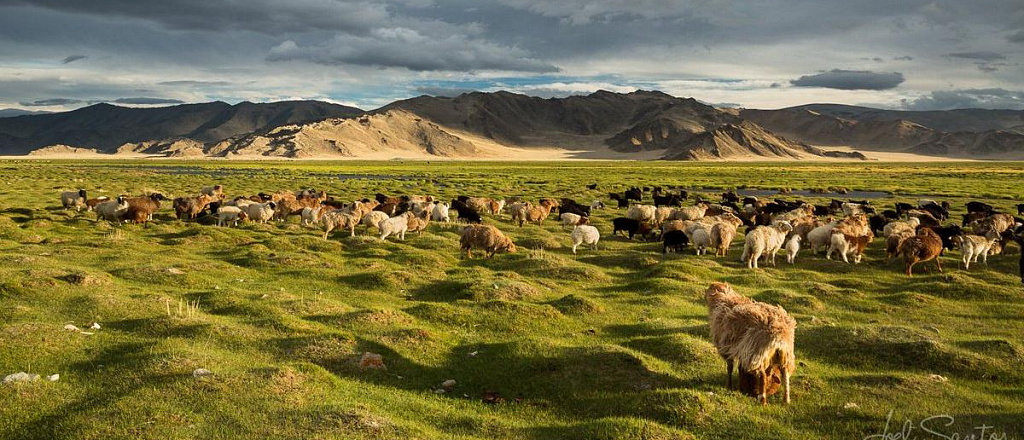 when-to-visit-mongolia-climate-guide