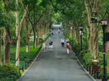 v-gorode-osh-poyavitsya-novaya-zona-otdyha