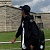 preview-image