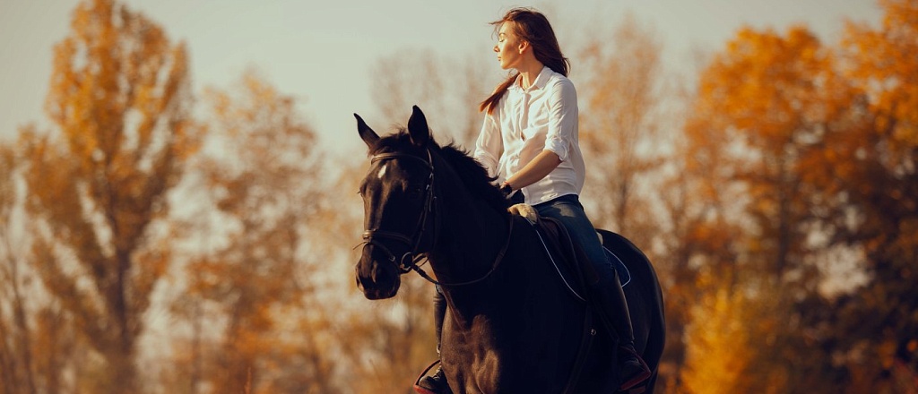 gallops-2025-80-vsadnikov-preodoleli-40-kilometrov-po-zhivopisnomu-marshrutu