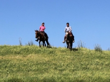 traditional-games-in-kyrgyzstan-what-you-need-to-know