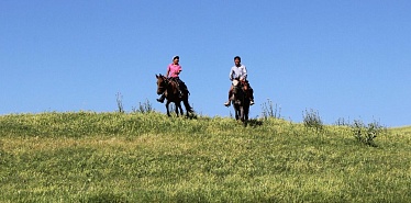 Traditional games in Kyrgyzstan: what you need to know