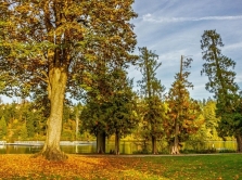 dushanbe-s-parks-the-coolest-spots-for-a-walk-a-picnic-or-a-sunset