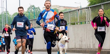 12 best running communities and clubs in Kazakhstan: from Almaty to Shymkent