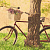 preview-image
