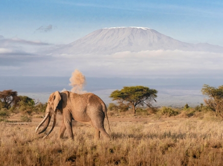 flag-vsemirnyh-igr-kochevnikov-podnyat-na-vershine-kilimandzharo