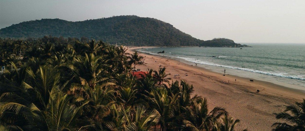 goa-rasshiryaet-mezhdunarodnoe-pozicionirovanie-na-kitf-2026