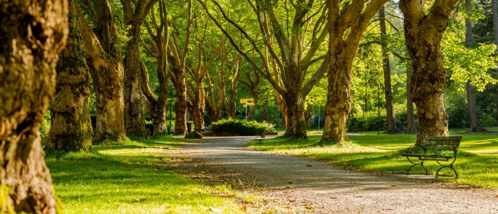 v-gorode-osh-nachalos-stroitel-stvo-novyh-parkov