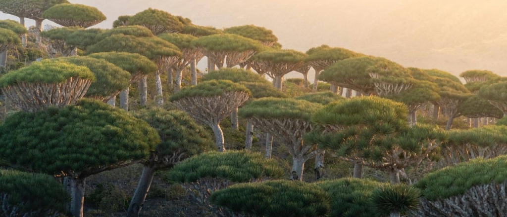 8-mest-v-mire-kotorye-otkryvayut-nashu-planetu-s-drugoy-storony