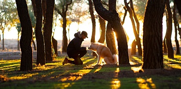 5 самых живописных мест для прогулок в Кокшетау