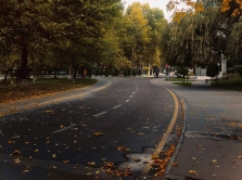 top-parks-and-gardens-to-visit-in-tashkent