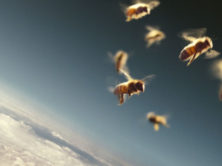 dokumental-nye-fil-my-pro-ekologiyu-i-klimat-podborka-dlya-teh-kto-hochet-znat-bol-she